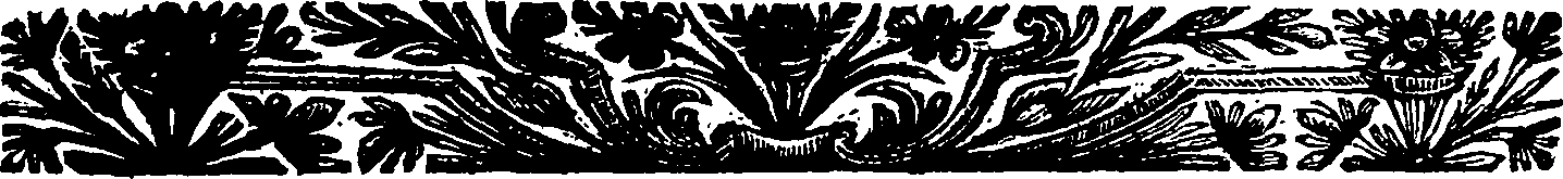 077/077180100000120_1.png