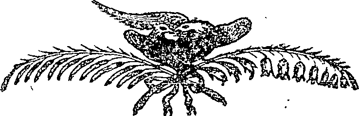 077/077220030000010_1.png
