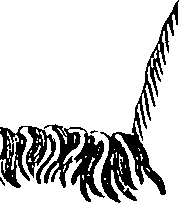 077/077230010101480_0.png