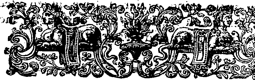 077/077280010000800_1.png