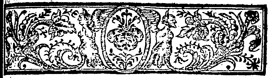077/077280010003560_1.png