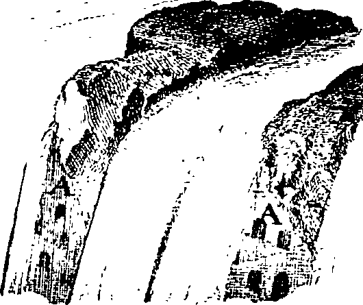 077/077300010000430_1.png