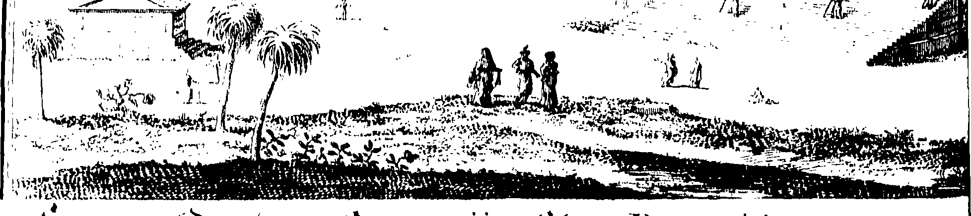 077/077300010000440_0.png