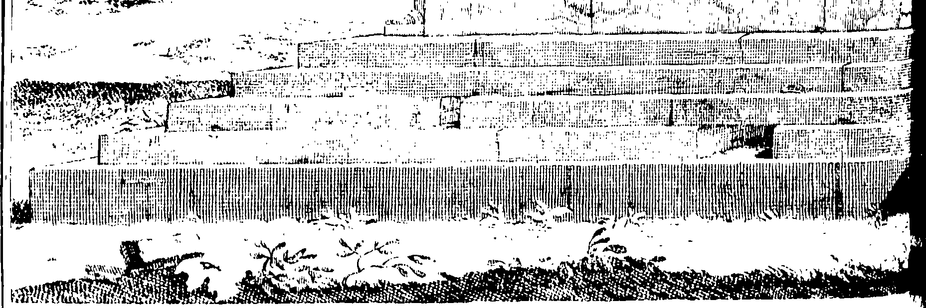 077/077300010000480_0.png