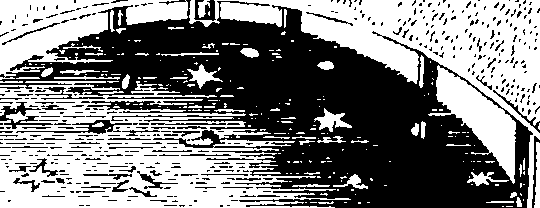 077/077300010000990_2.png