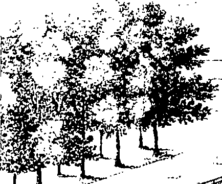 077/077300010001390_2.png