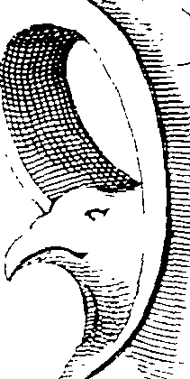 077/077300010001840_1.png