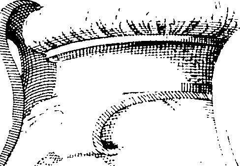 077/077300010001880_0.png