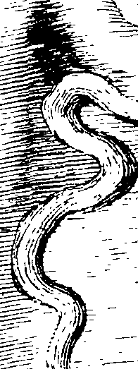 077/077300010001900_0.png