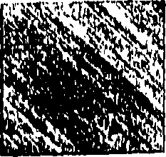 077/077300070001230_0.png