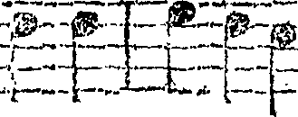 077/077320040100920_1.png