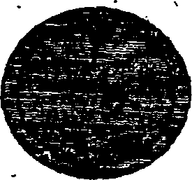 077/077350010005370_0.png