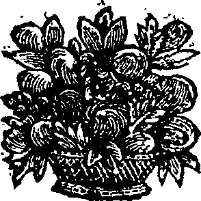 077/077360050000110_0.png