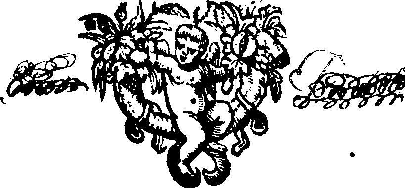 077/077530010000020_0.png