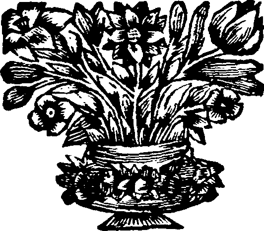 077/077530010003880_0.png