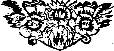 077/077530010003900_0.png