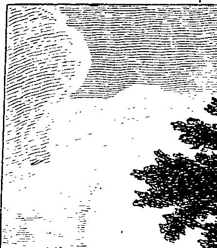 077/077590010000740_0.png