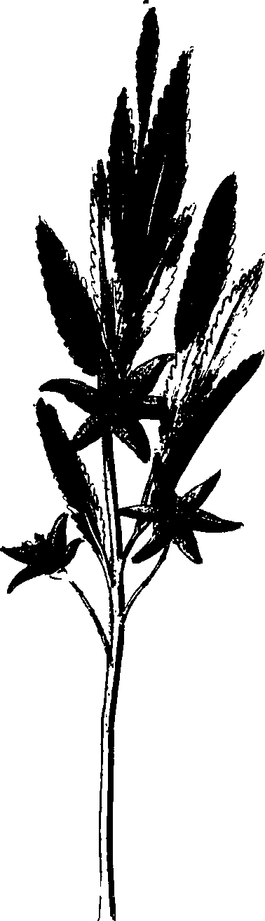 077/077640020302590_0.png