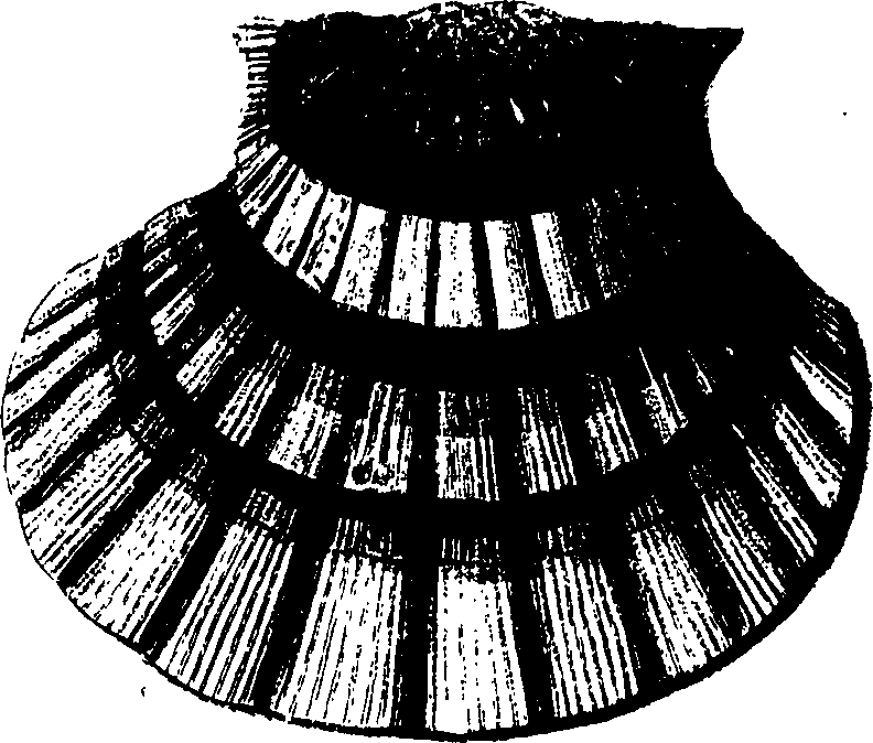 077/077640020303030_1.png
