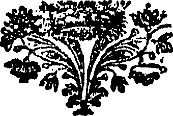 077/077640050000130_0.png
