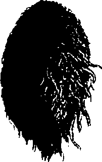 077/077650050200930_0.png