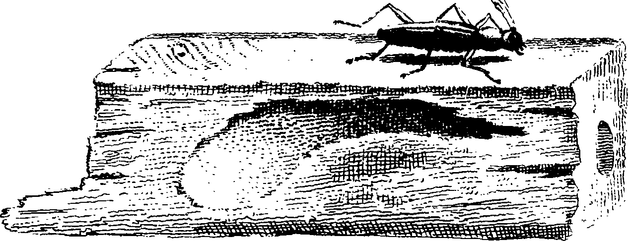 077/077650050202260_0.png