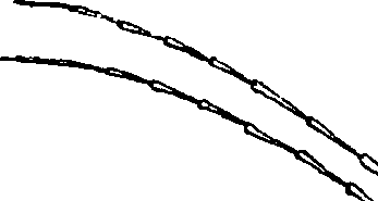 077/077650050202260_1.png