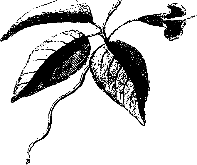 077/077650050203580_0.png