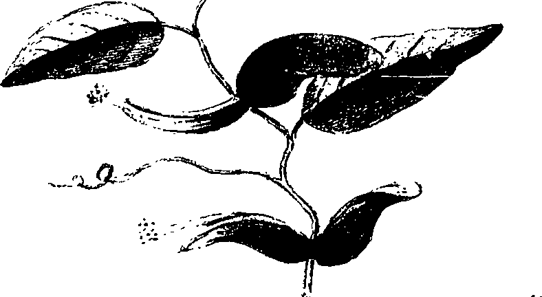 077/077650050203580_1.png