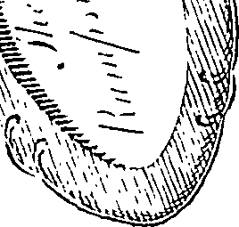 077/077700050003770_2.png