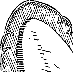 077/077700050003770_4.png