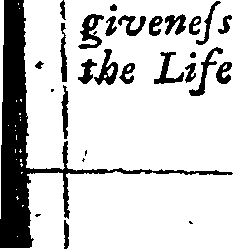 077/077740100000960_0.png