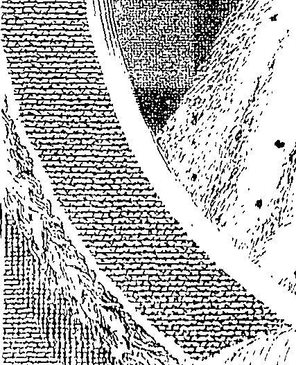 077/077790050100010_1.png