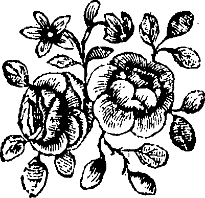 077/077820050000040_0.png