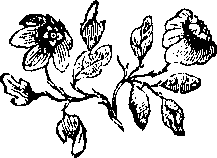 077/077820050000220_0.png
