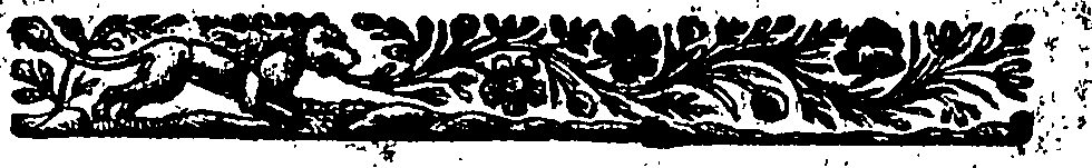 077/077830050000540_2.png