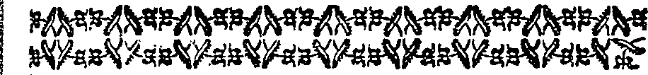 077/077910010001570_0.png