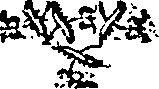 077/077910040003460_0.png
