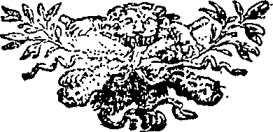 077/077920050003460_0.png