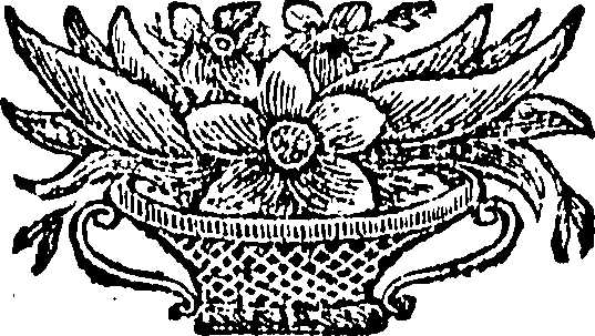078/078000050001360_0.png