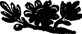 078/078030020001120_1.png