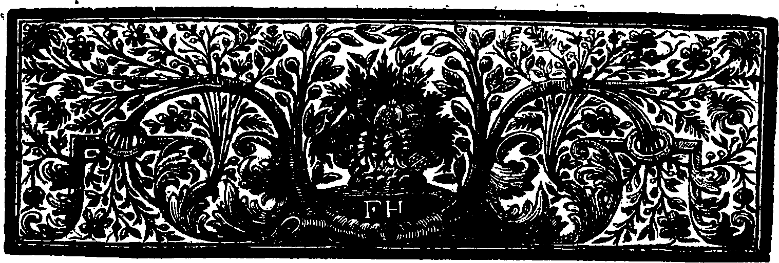 078/078050030000020_1.png