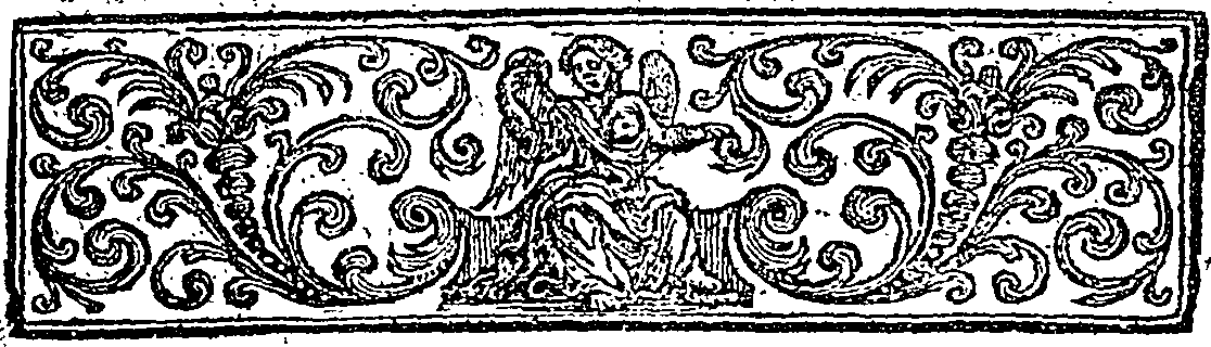 078/078110020000040_1.png