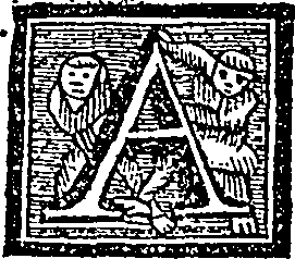 078/078110030000050_0.png