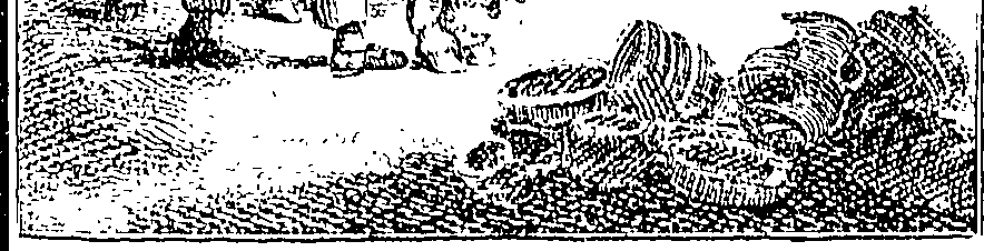 078/078170010000660_0.png