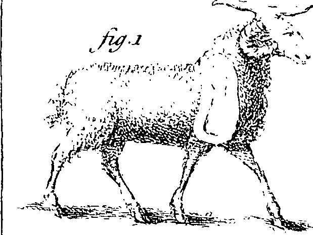 078/078250010000010_1.png
