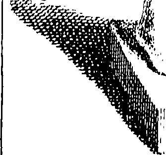 078/078250010000020_0.png