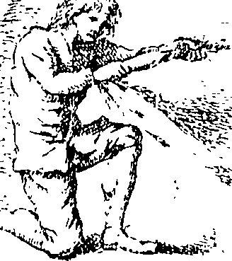 078/078250010000020_2.png
