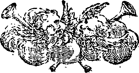 078/078310050000400_0.png