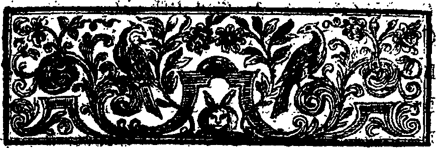 078/078410060000080_1.png